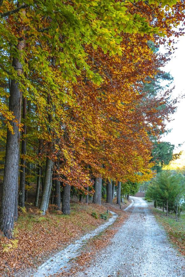 Boticas Parque Natur Houses Zewnętrze zdjęcie
