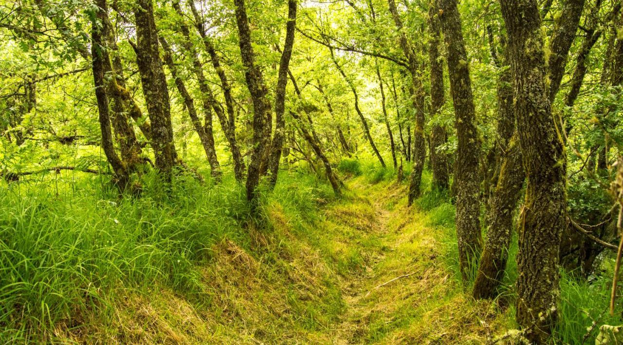 Boticas Parque Natur Houses Zewnętrze zdjęcie