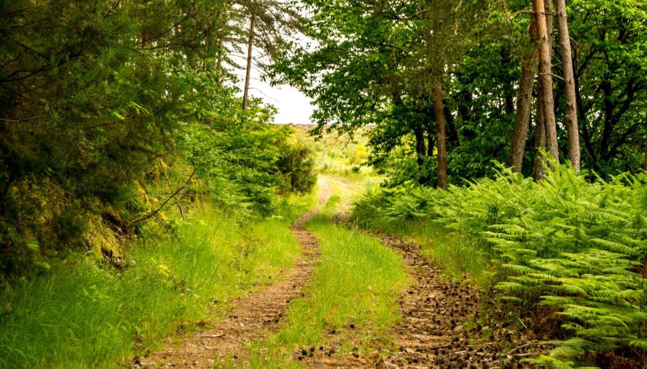 Boticas Parque Natur Houses Zewnętrze zdjęcie